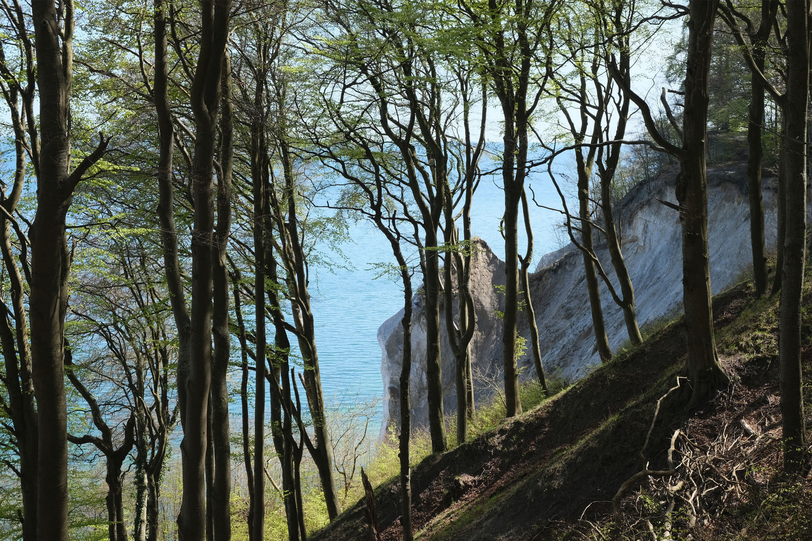 Wandern an der Kreideküste Rügens