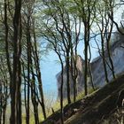 Wandern an der Kreideküste Rügens