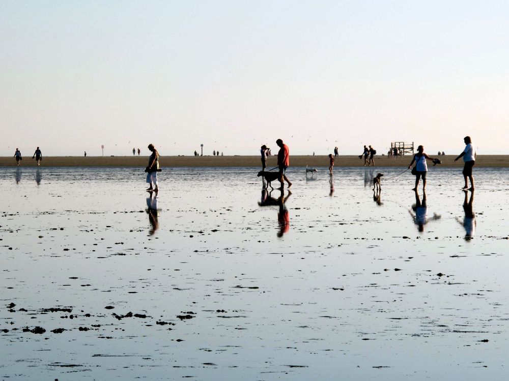 Wandern an der Nordsee