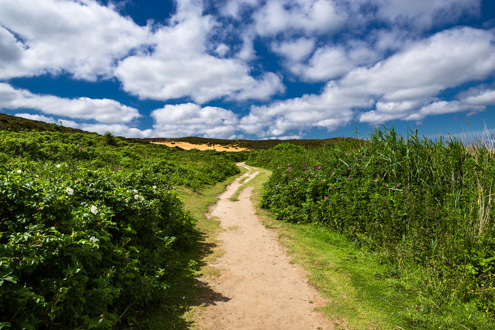 Wandern an der Wattseite ...