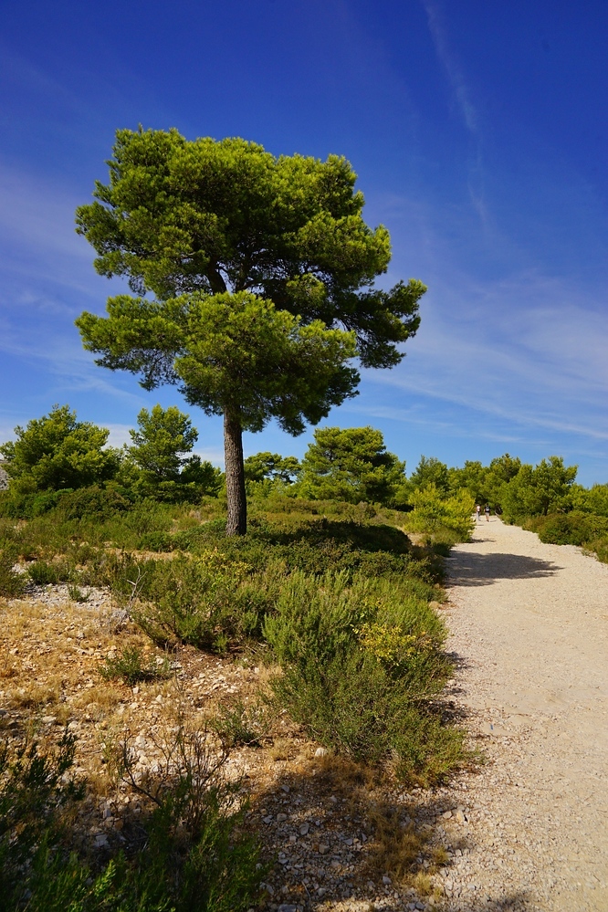 Wandern auf dem Berg