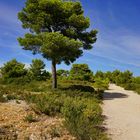 Wandern auf dem Berg