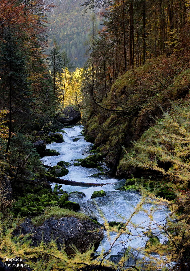 Wandern auf dem Echerntalweg bei Hallstatt