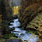 Wandern auf dem Echerntalweg bei Hallstatt