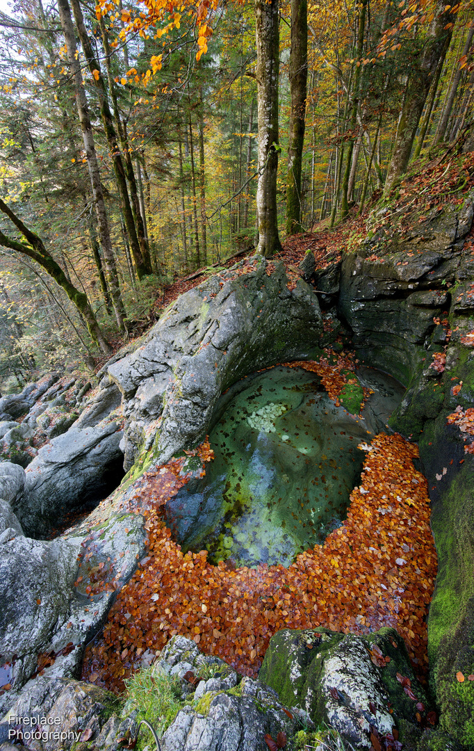 Wandern auf dem Echerntalweg bei Hallstatt