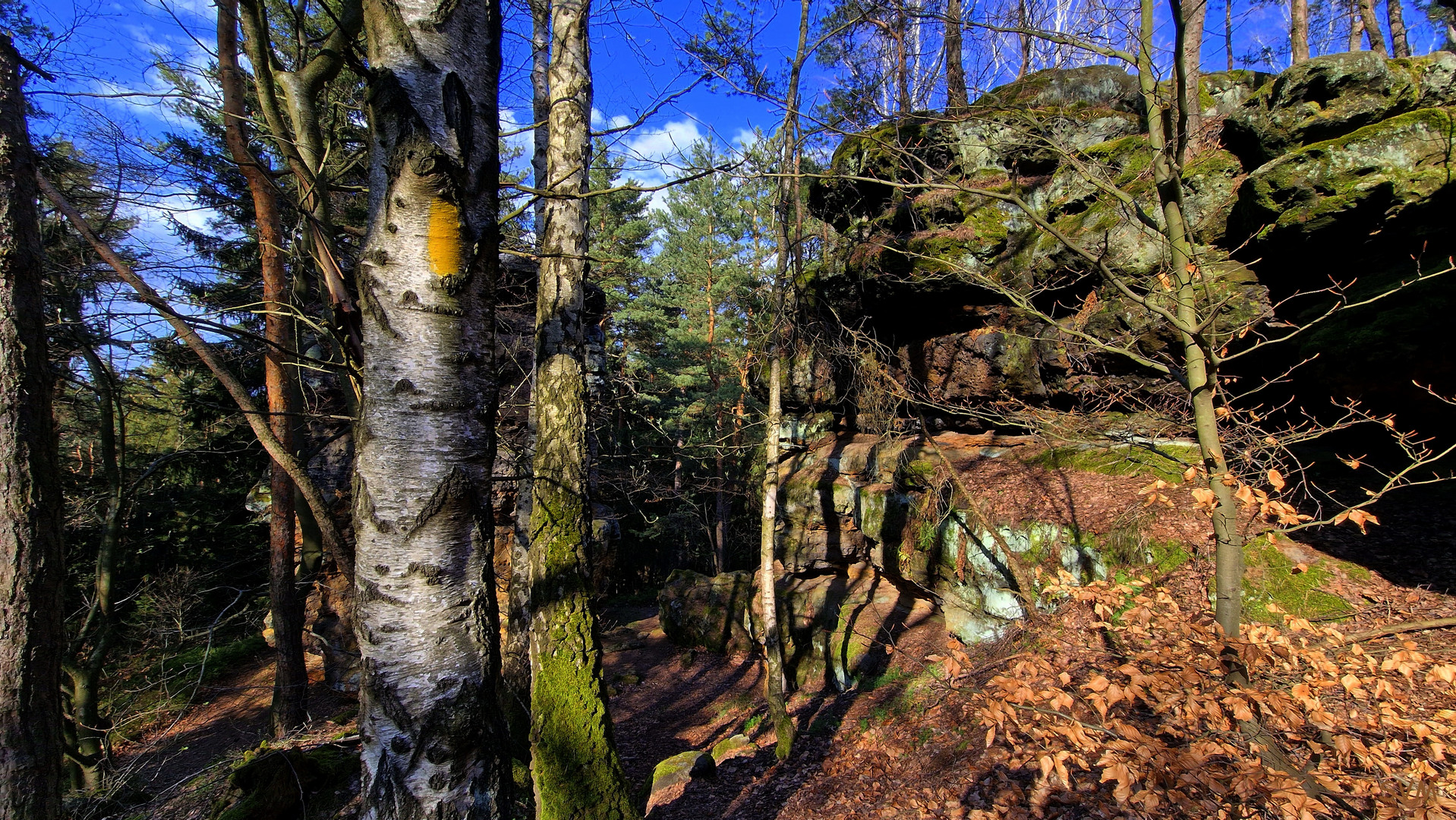 Wandern auf dem Forststeig in der Sächsischen Schweiz