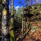 Wandern auf dem Forststeig in der Sächsischen Schweiz