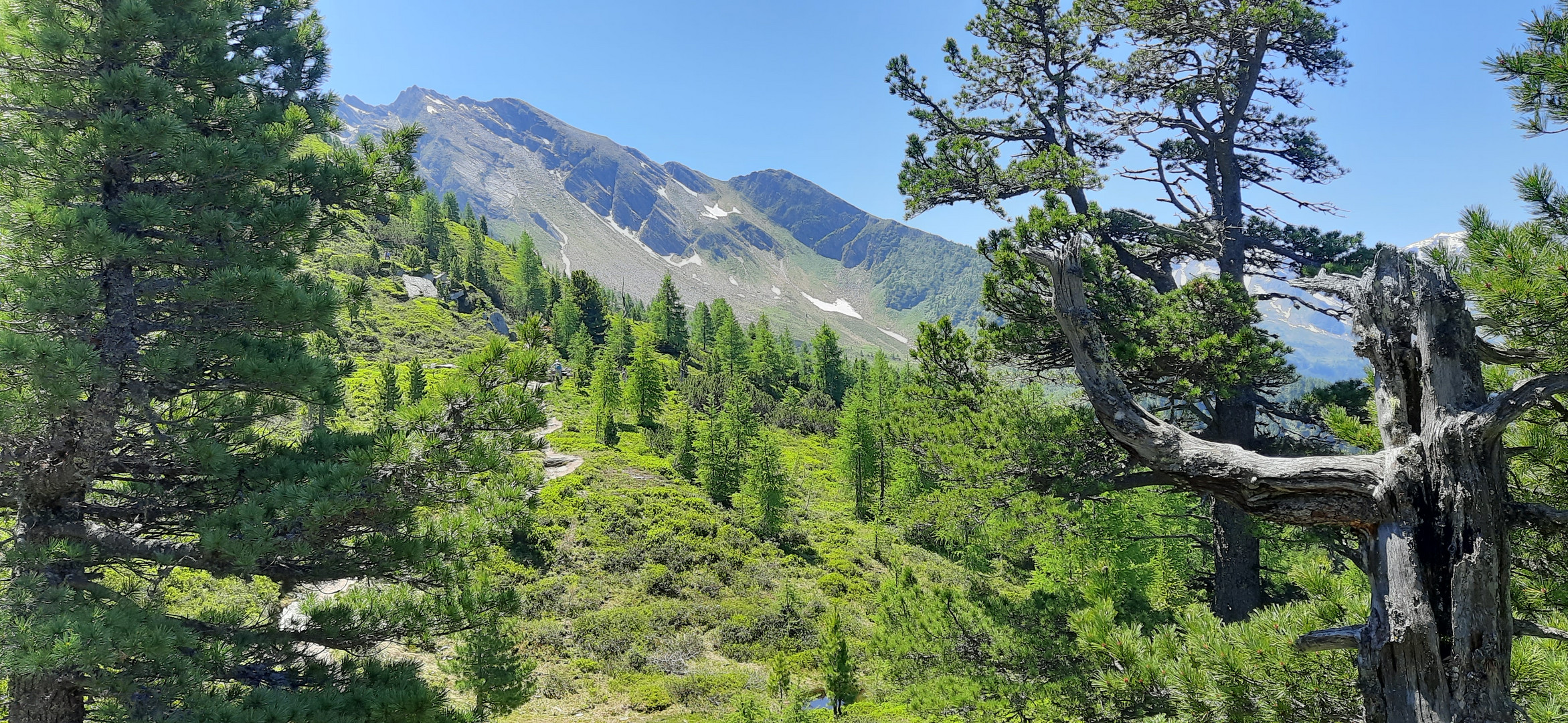 Wandern auf dem Graukogel.