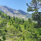 Wandern auf dem Graukogel.