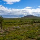 Wandern auf dem Hetta-Pallas Trail