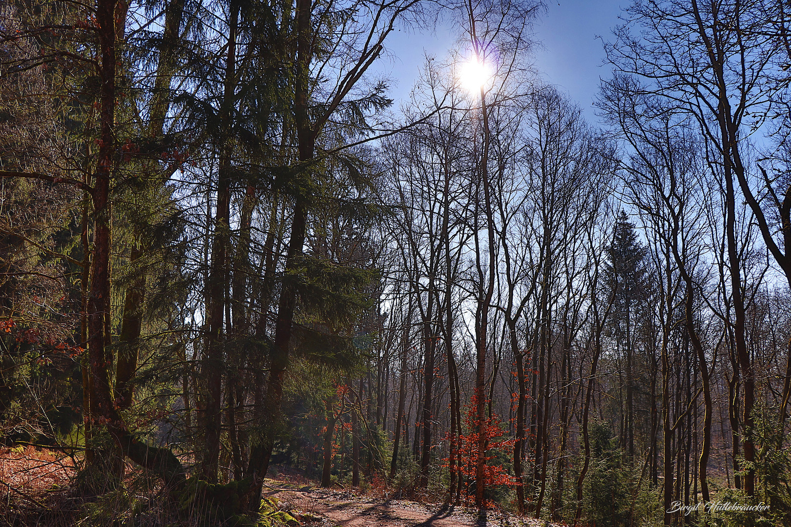 Wandern auf dem Sauerland-Höhenflug