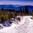 wandern auf dem Schliffkopf 2