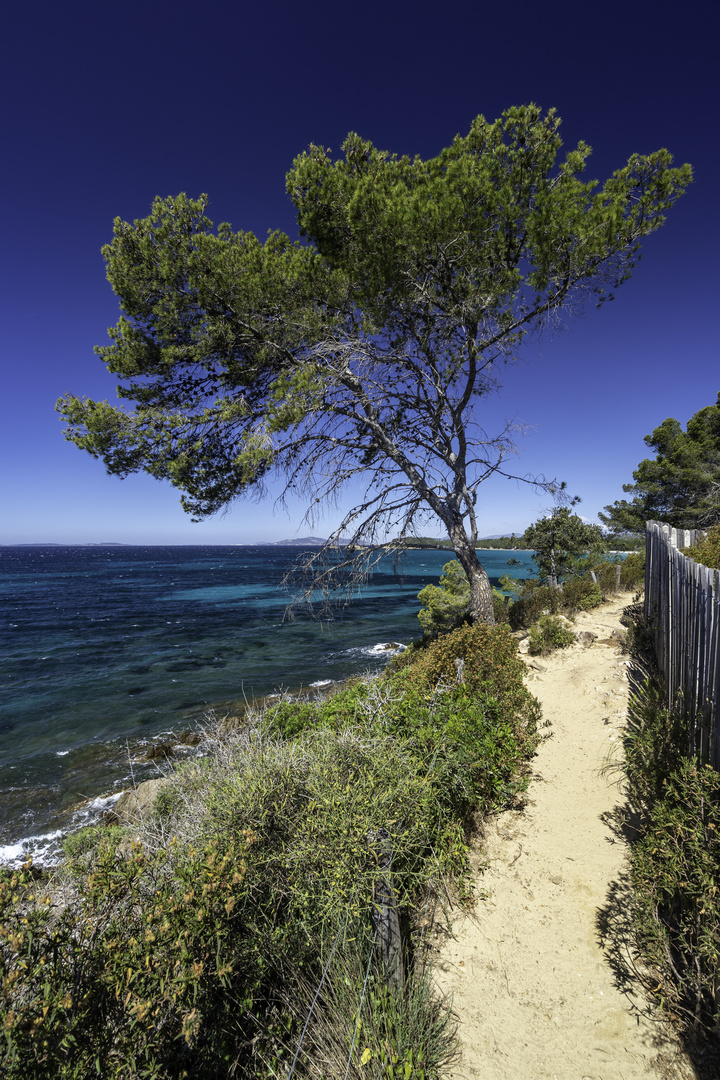 Wandern auf dem Sentier Littoral