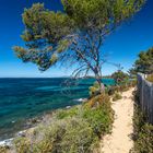 Wandern auf dem Sentier Littoral