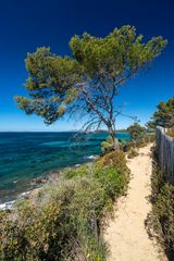 Wandern auf dem Sentier Littoral