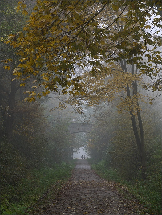 Wandern auf der Kohlenbahn