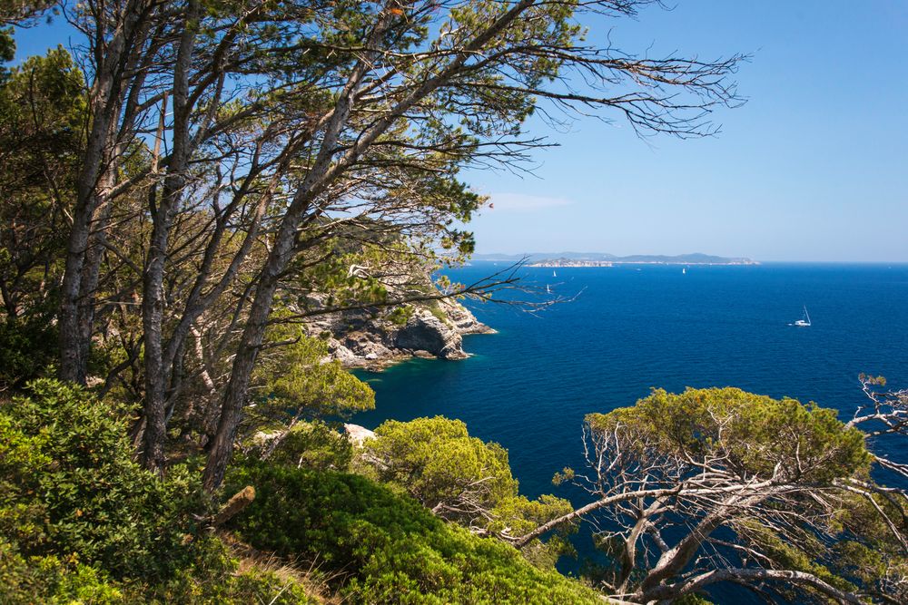 Wandern auf der Presqu'île de Giens