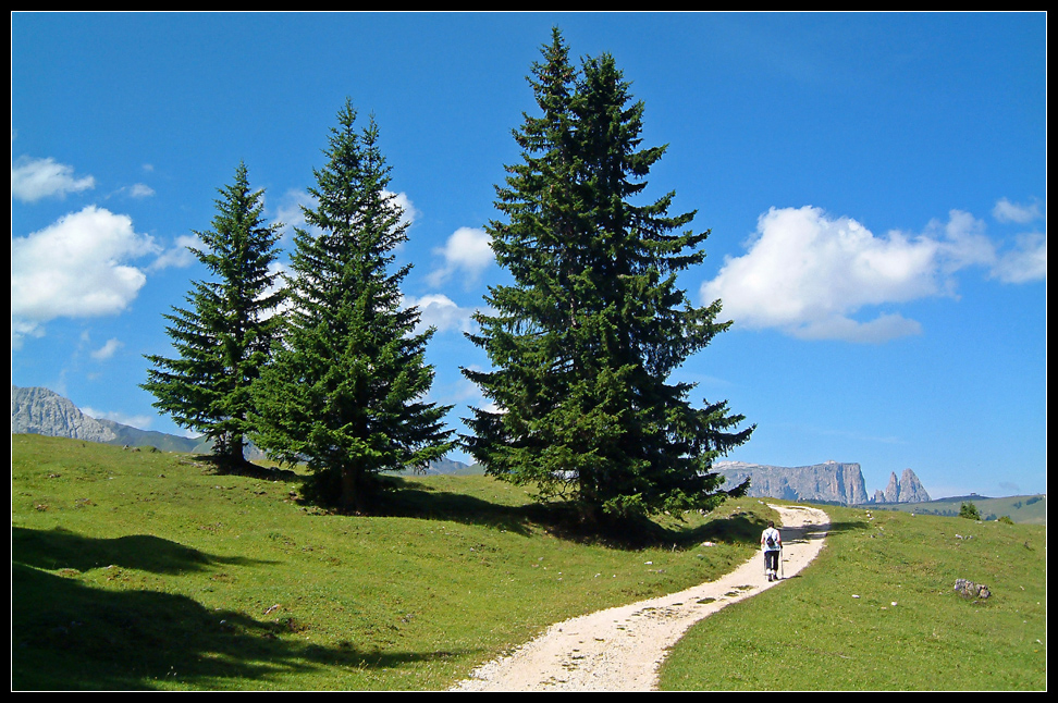 Wandern auf der Seiseralm