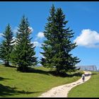 Wandern auf der Seiseralm