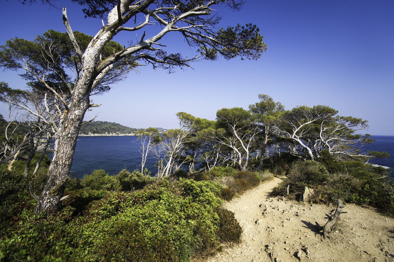 Wandern auf Giens