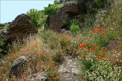 Wandern auf Gran Canaria