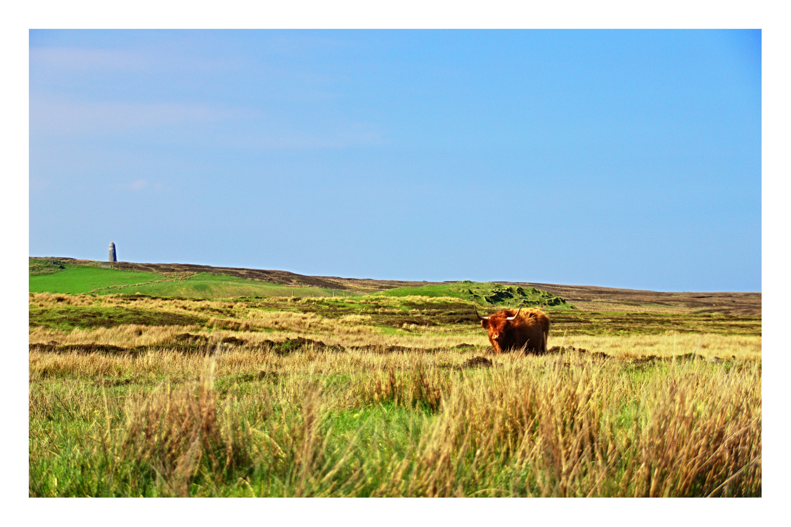 wandern auf islay...