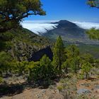 Wandern auf La Palma