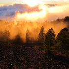 Wandern auf La Palma 