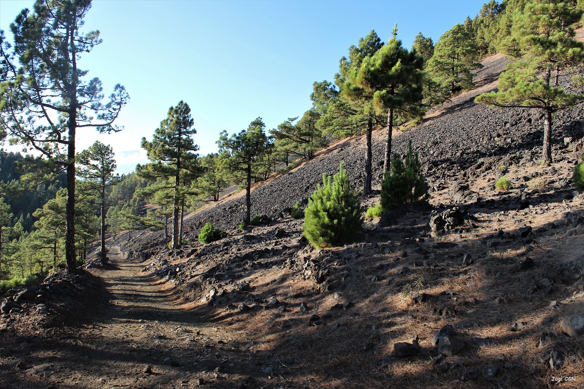 wandern auf la palma