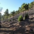 wandern auf la palma