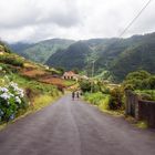 Wandern auf Madeira...