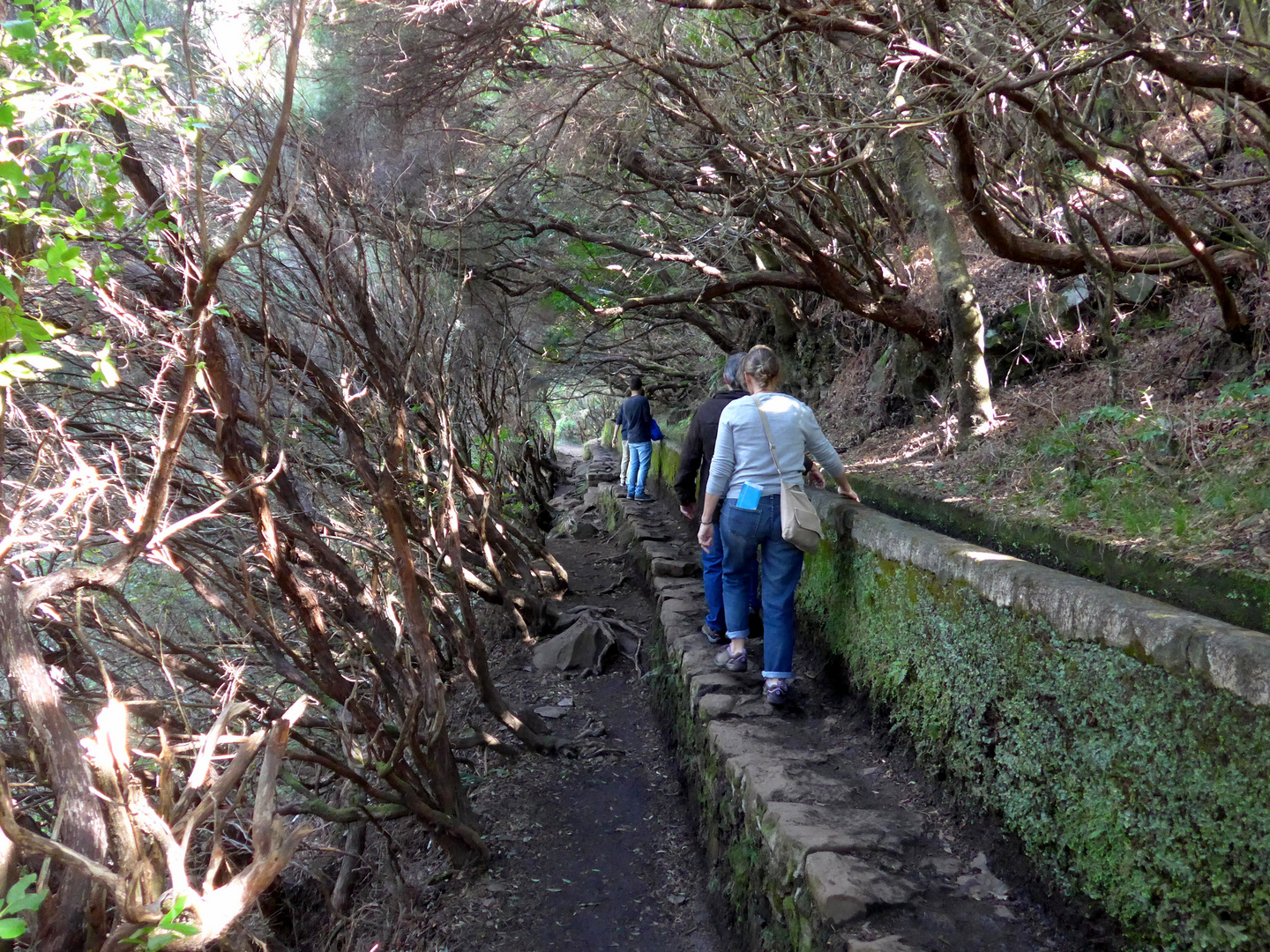 Wandern auf Madeira