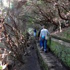 Wandern auf Madeira