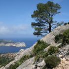 Wandern auf Mallorca