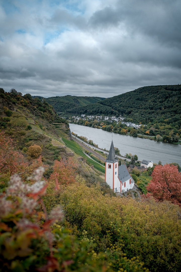 Wandern auf Traumpfaden an der Mosel