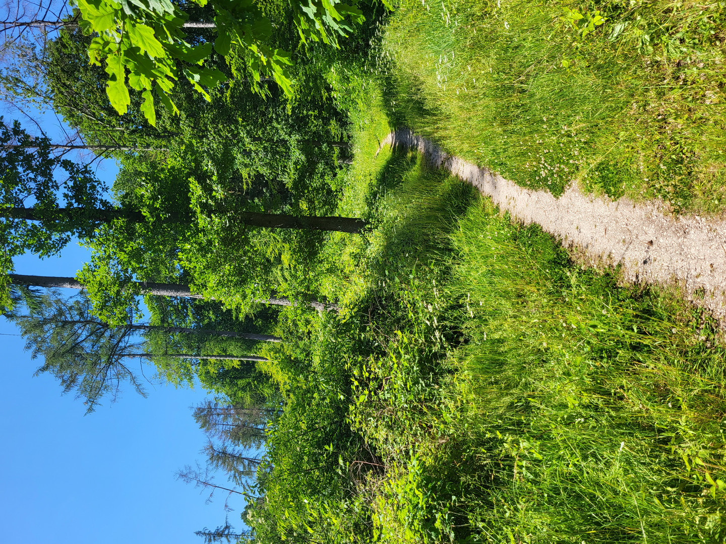 Wandern bei Bad Salzdetfurth 1