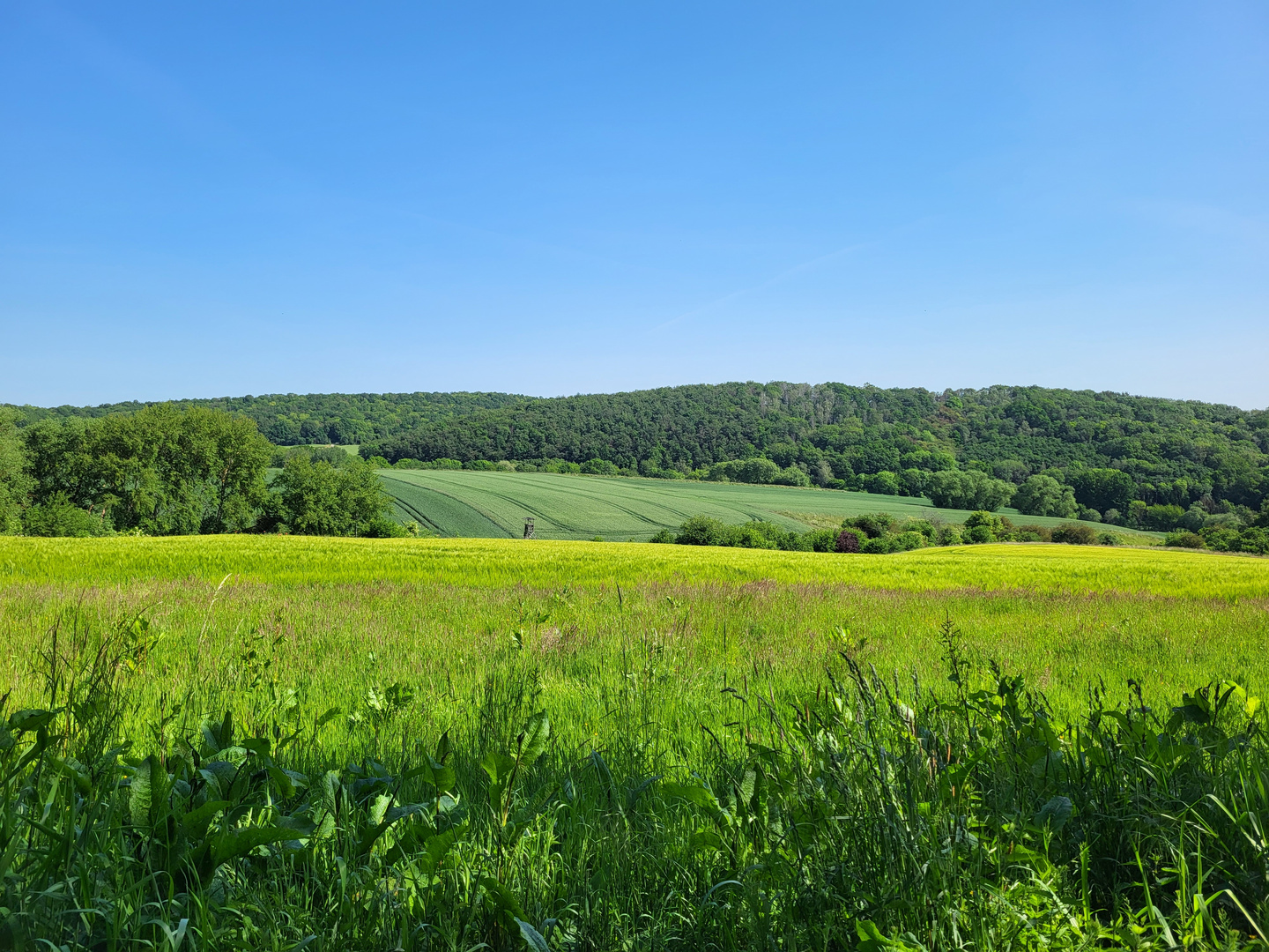 Wandern bei Bad Salzdetfurth 2