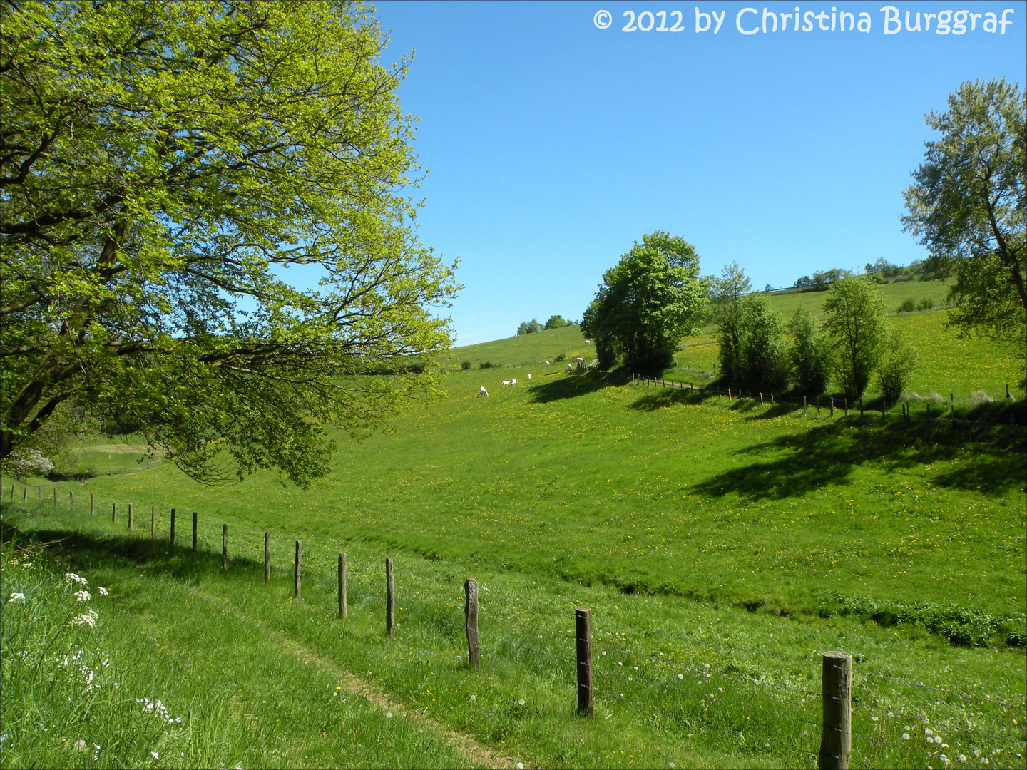 Wandern bei der Hohen Acht