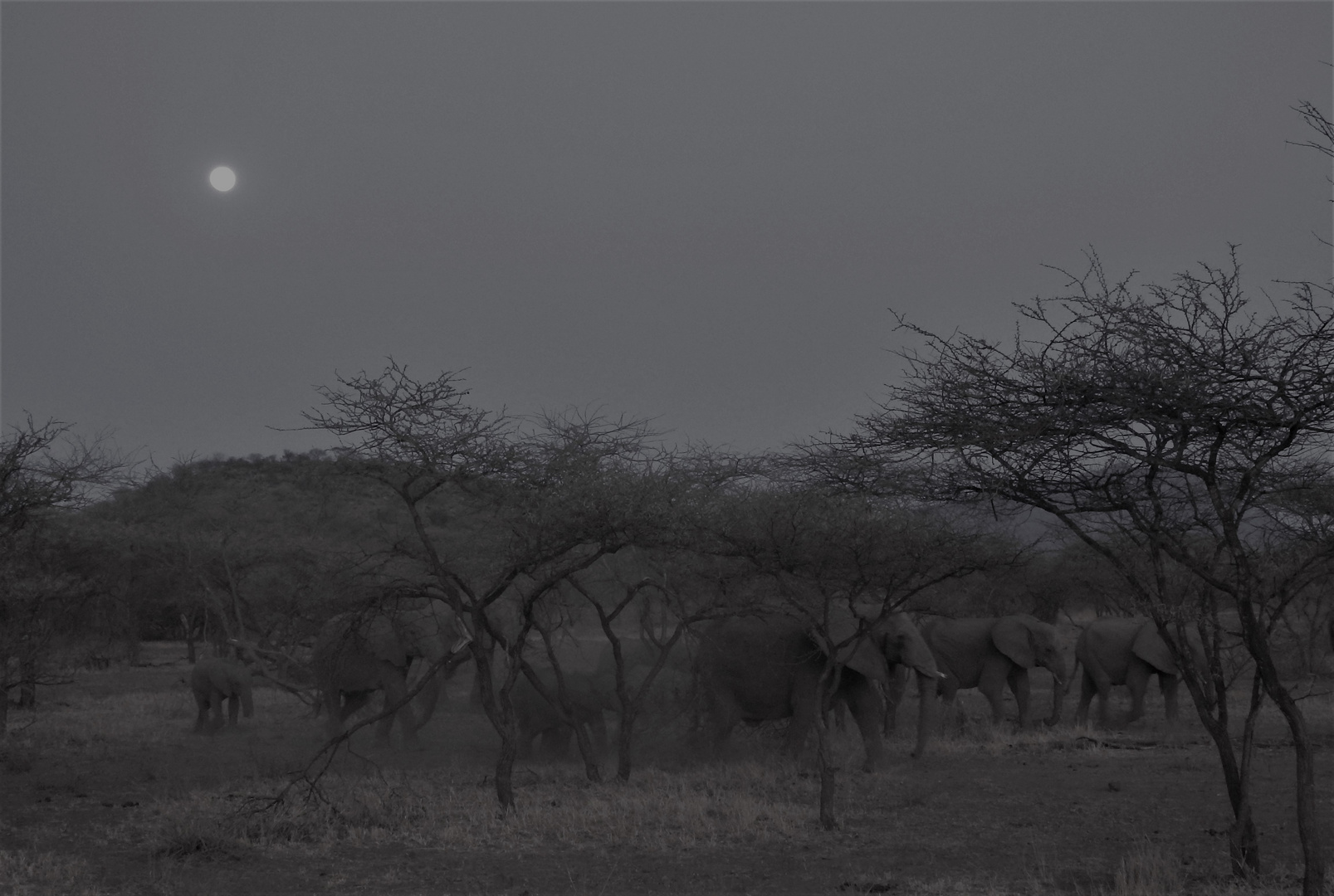 Wandern bei Vollmond