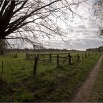 Wandern durch den Müritz - Nationalpark