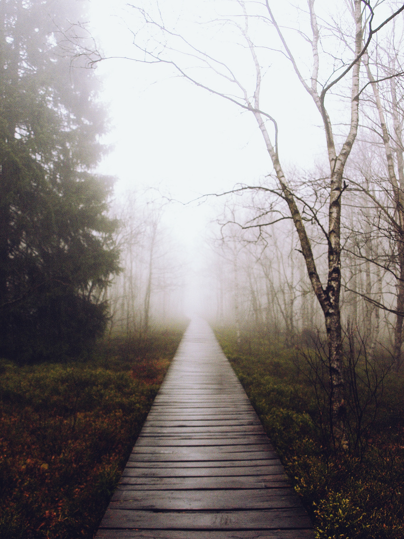 Wandern durch den Nebel im Roten Moor