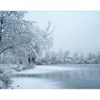 wandern durch den weißen Winterwald......