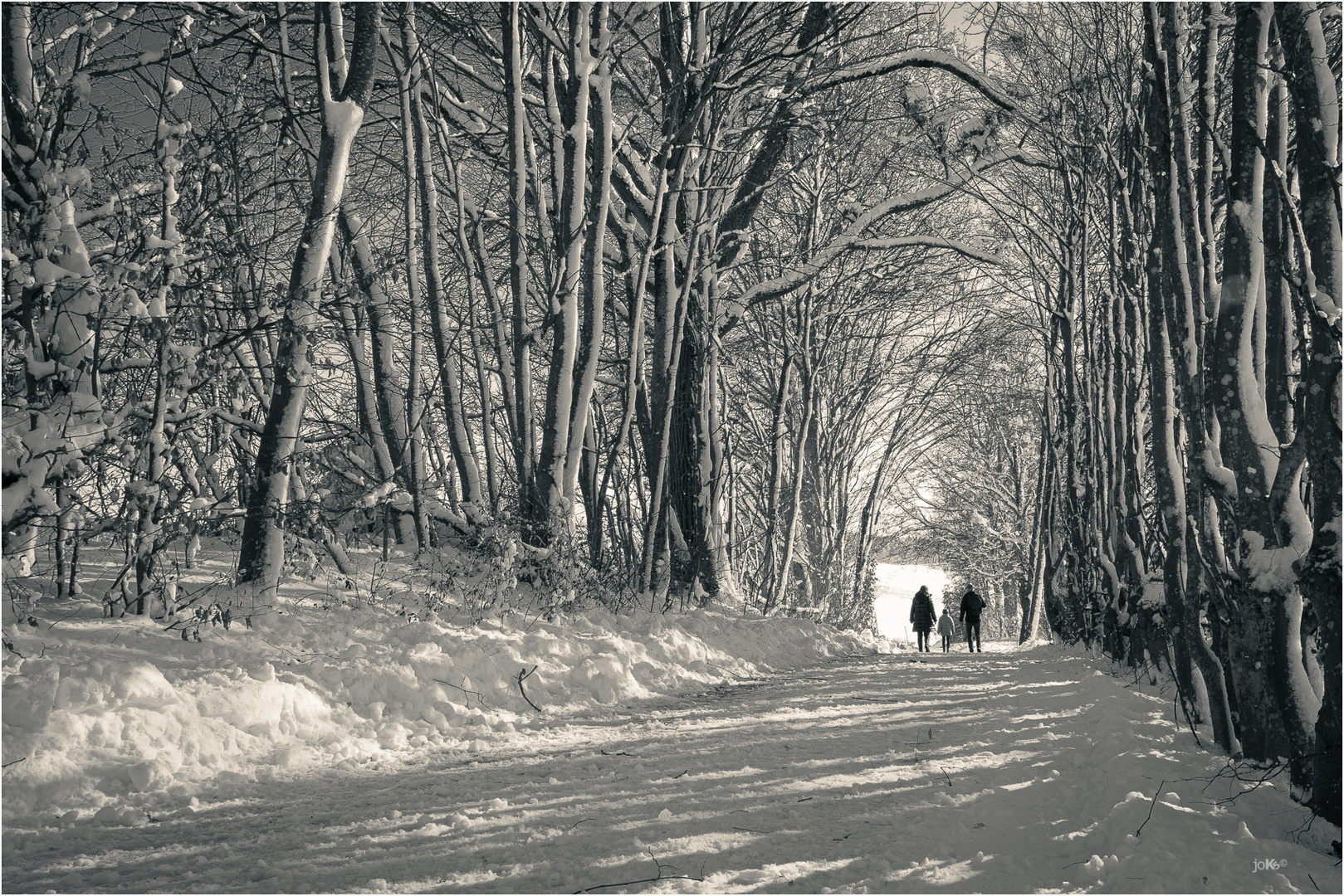 Wandern durch den weissen Winterwald