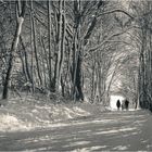 Wandern durch den weissen Winterwald