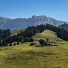 Wandern durch die schöne Alpenwelt