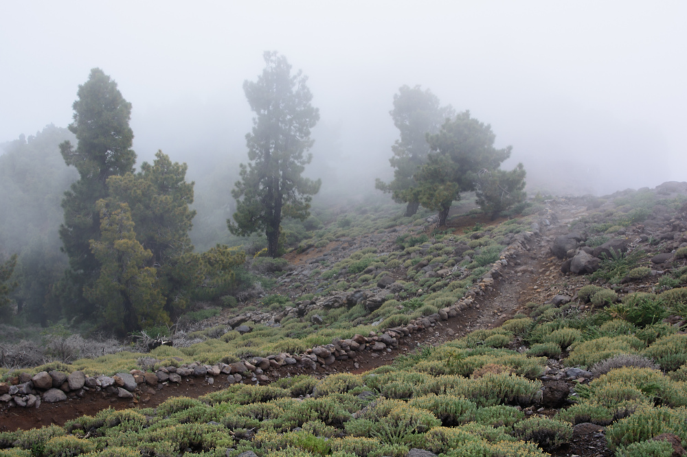 Wandern durch Wolken