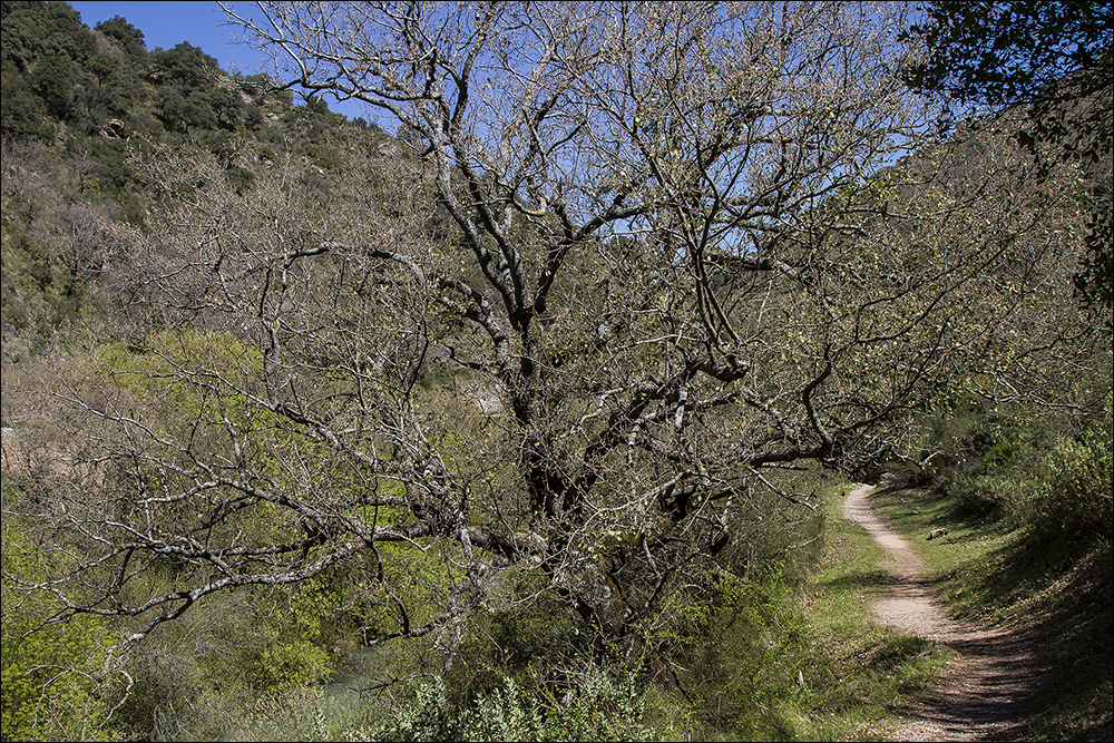 Wandern entlang des Rio Guadiaro 2