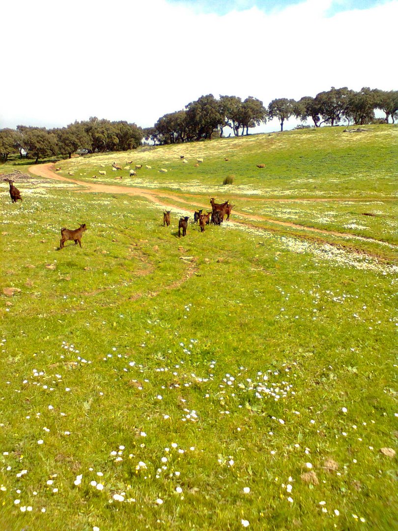 Wandern im Alentejo, Portugal