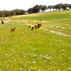 Wandern im Alentejo, Portugal