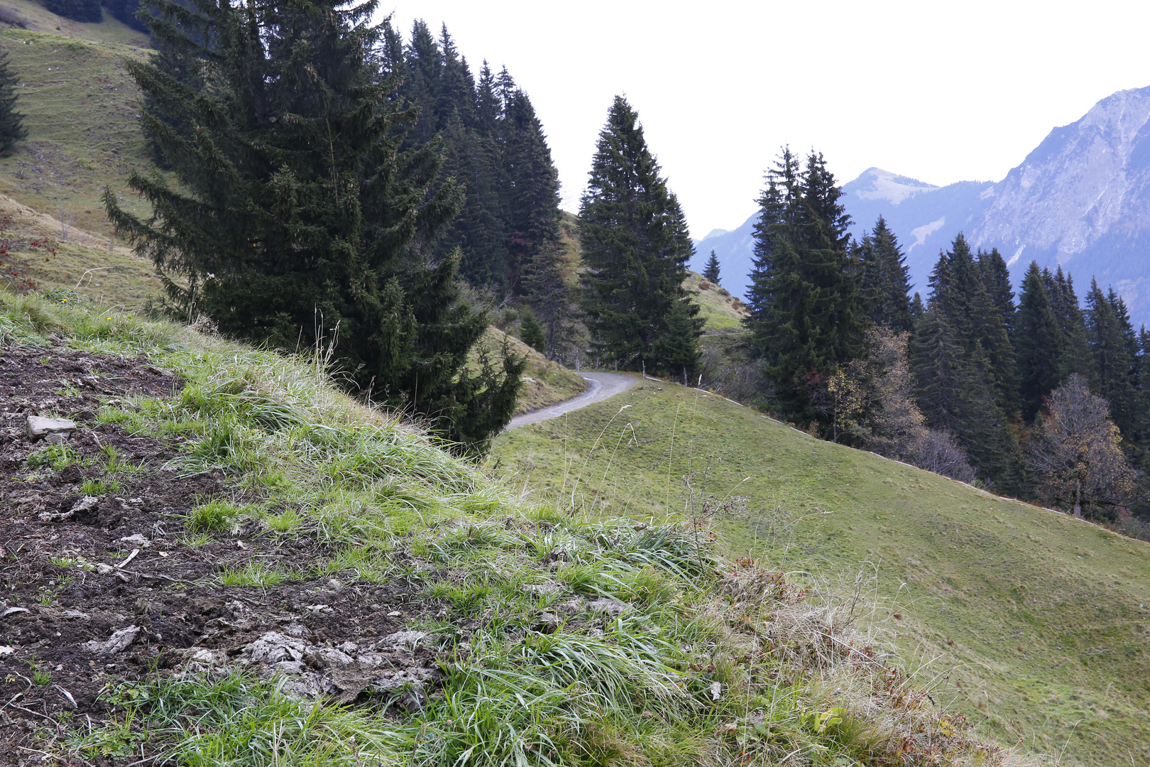 Wandern im Allgäu